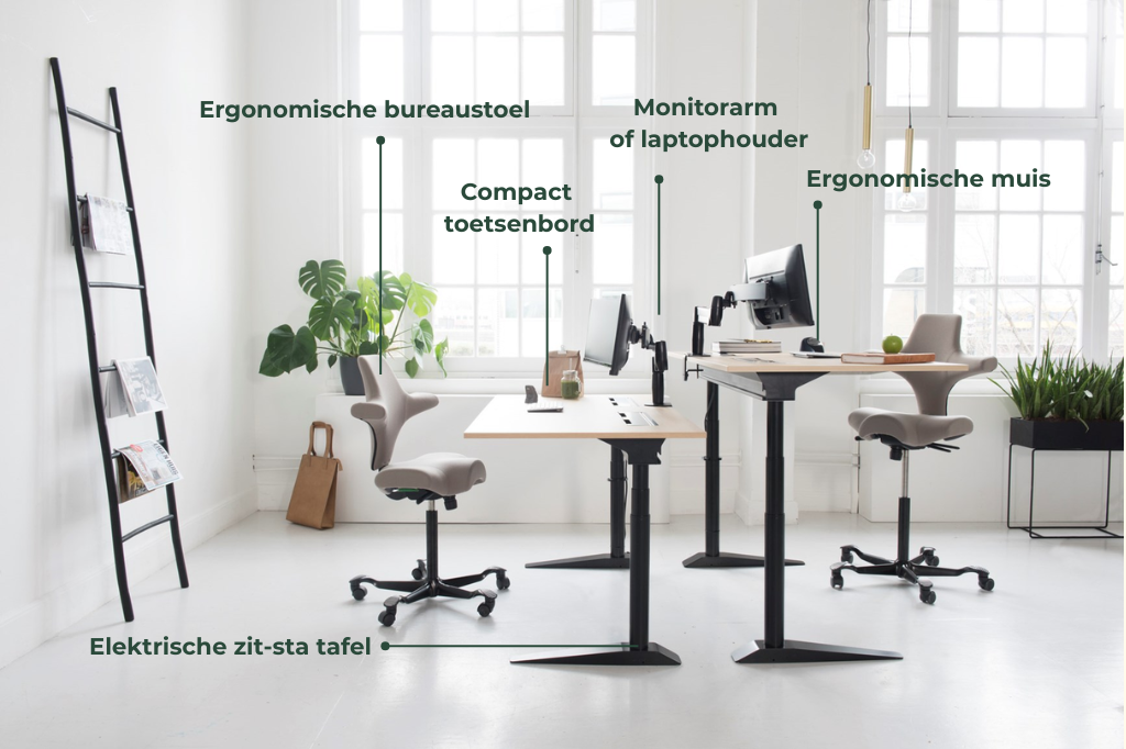 Wet over ergonomie op het werk en preventie van MSA
